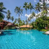 โรงแรมป่าตองเมอร์ลิน - Image 7