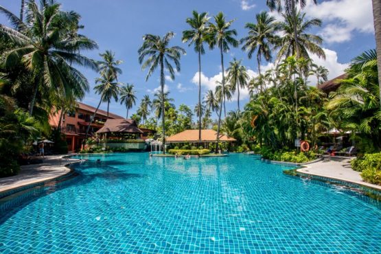 โรงแรมป่าตองเมอร์ลิน - Image 7